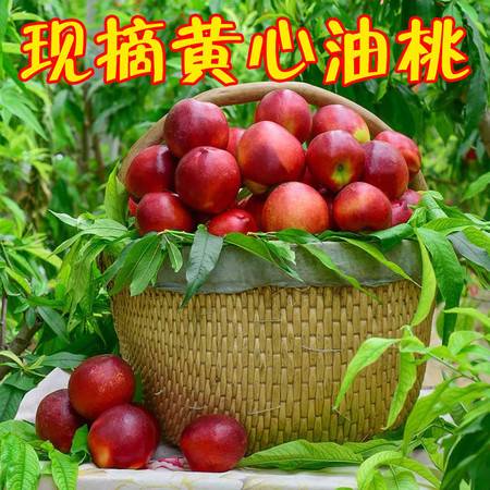 現(xiàn)摘當季時令新鮮水果黃油桃3斤包郵 非水蜜非毛桃，這才是夏天的甜蜜滋味